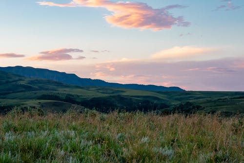 描寫親情的詩句