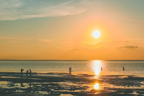 初中寒假日記600字 初中寒假日記600字