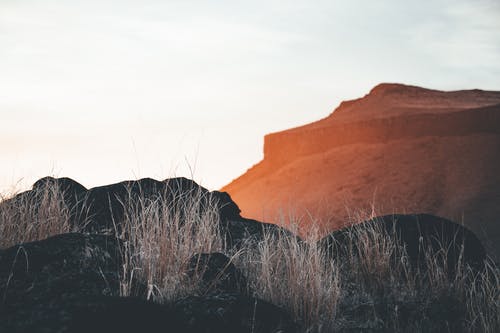 關(guān)于古詩(shī)作文錦集8篇 關(guān)于古詩(shī)作文錦集8篇