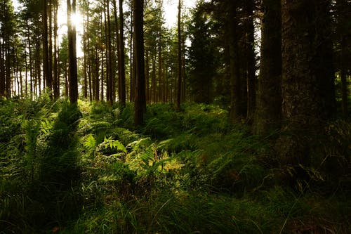 神級(jí)系統(tǒng)走路就能變強(qiáng)小說男主陳璇無錯(cuò)版章節(jié)閱讀 神級(jí)系統(tǒng)走路就能變強(qiáng)小說男主陳璇無錯(cuò)版章節(jié)閱讀