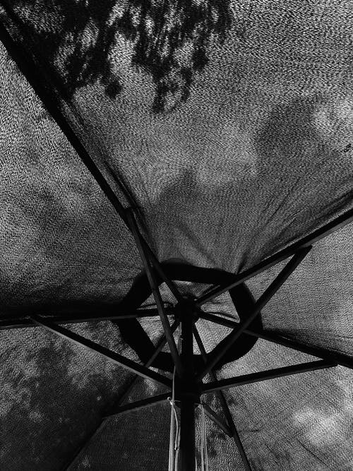 《滿江紅·送廖叔仁赴闕》的賞析 《滿江紅·送廖叔仁赴闕》的賞析