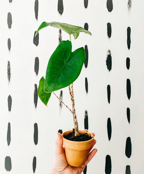 看中你兜里那點(diǎn)自己都不夠用的利稅美文 看中你兜里那點(diǎn)自己都不夠用的利稅美文