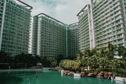 王梵志《詩(二首)》詩詞鑒賞