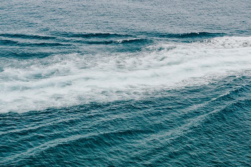 爽文我的白富美老婆小說楚南沈月無廣告閱讀