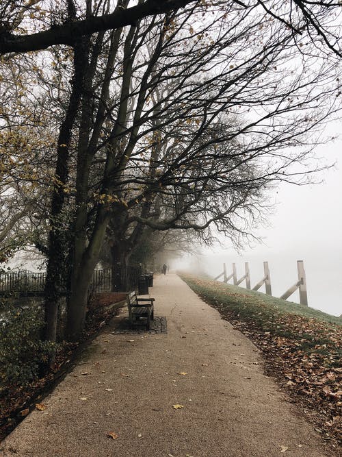 醫(yī)手遮天世子他娘帥炸了小說墨晚蕭天錦全篇章閱讀