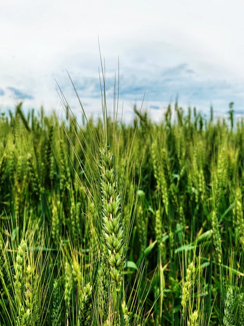 重生無上帝君小說主角云林完整版閱讀