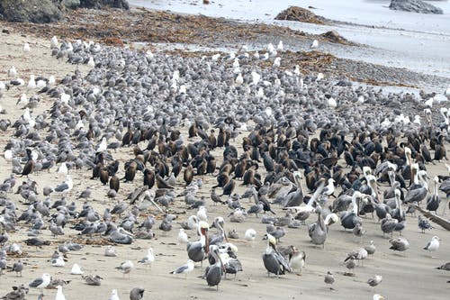 【推薦】五年級(jí)日記模板合集五篇 【推薦】五年級(jí)日記模板合集五篇