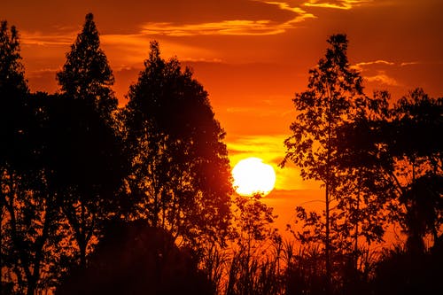 美麗的三八婦女節(jié)日記（精選9篇）