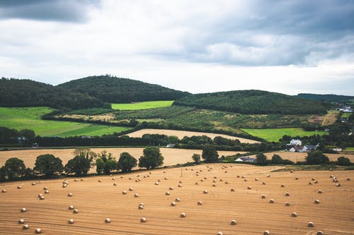 五年級(jí)寫人作文翻臉老師 五年級(jí)寫人作文翻臉老師