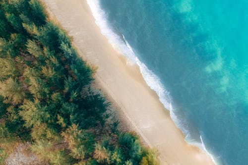 五年級(jí)敘事作文恐怖的小巷 五年級(jí)敘事作文恐怖的小巷