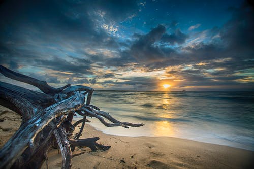 愛情公寓2經(jīng)典臺(tái)詞 愛情公寓2經(jīng)典臺(tái)詞