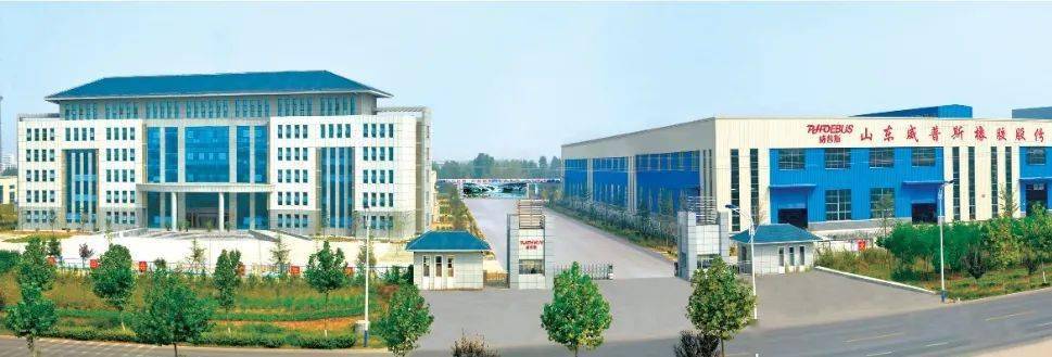 沂水的是什么電子廠啊？沂水有什么大的廠子？