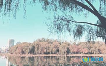 散文隨筆-秋季抑郁癥