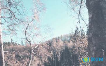 分手在秋季散文隨筆