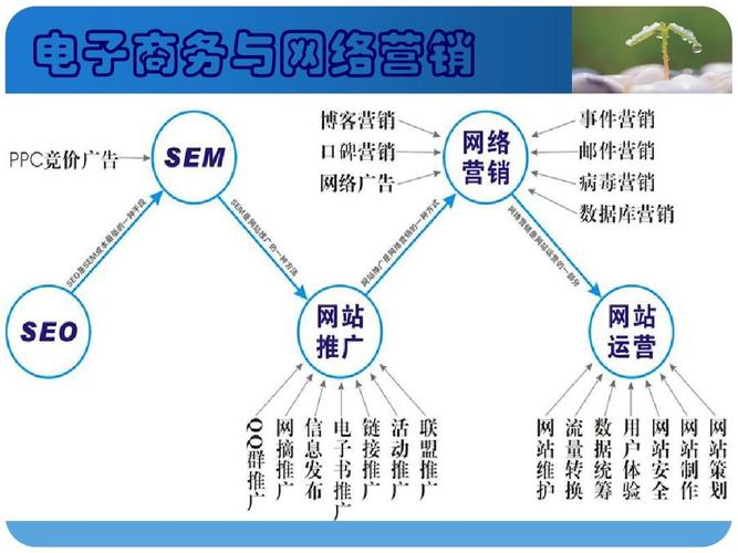 電子商務(wù)主要學(xué)什么？