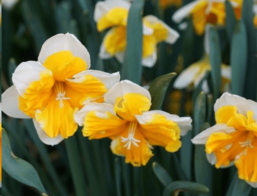 2019感覺(jué)心累的經(jīng)典說(shuō)說(shuō) 如今我累了，想放開(kāi)了