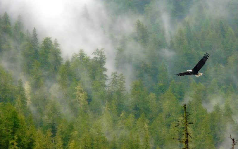 的經(jīng)典說說（70條）