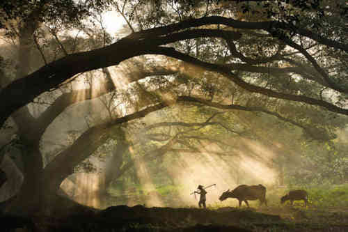 獨(dú)自一個(gè)人面對(duì)現(xiàn)實(shí)的殘酷經(jīng)典句子（71句）