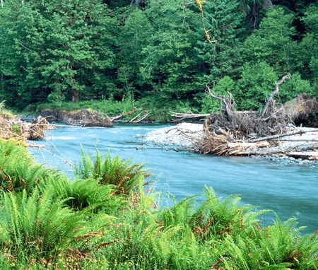 畢業(yè)傷感的經(jīng)典說(shuō)說(shuō)(75條) 畢業(yè)傷感的經(jīng)典說(shuō)說(shuō)(75條)