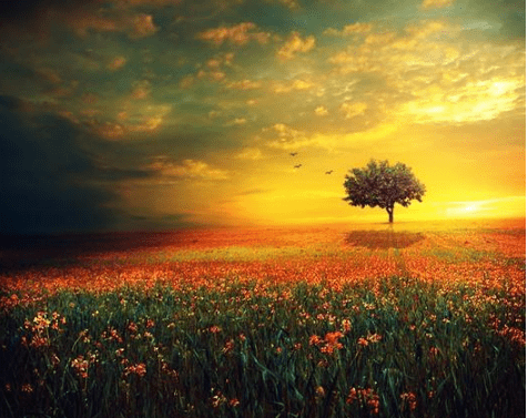 思戀一個(gè)人的扎心經(jīng)典說說（71條）