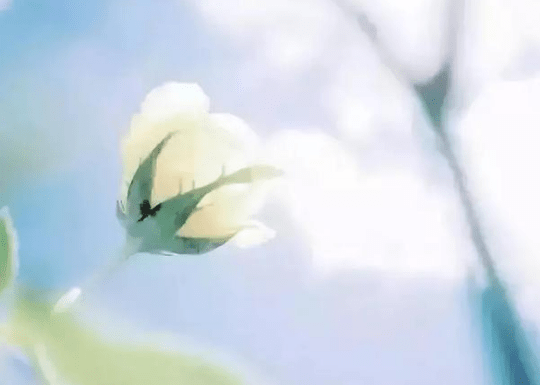 關(guān)于考試幽默的經(jīng)典說說（50條）