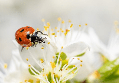 一針見血的經(jīng)典語錄（66條）