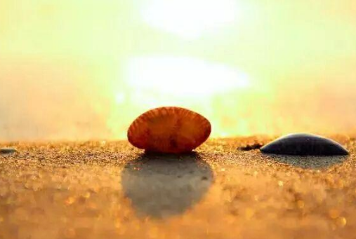 現(xiàn)實精辟的經(jīng)典說說(50條) 現(xiàn)實精辟的經(jīng)典說說(50條)