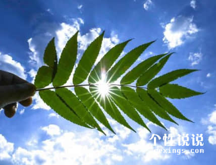 空間5月觸動(dòng)心靈的經(jīng)典說(shuō)說(shuō)(53條) 空間5月觸動(dòng)心靈的經(jīng)典說(shuō)說(shuō)(53條)