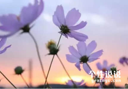 鼓勵(lì)自己正能量的經(jīng)典說說（58條）