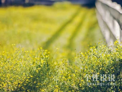 現(xiàn)實(shí)激勵(lì)人心的經(jīng)典說說(54條) 現(xiàn)實(shí)激勵(lì)人心的經(jīng)典說說(54條)