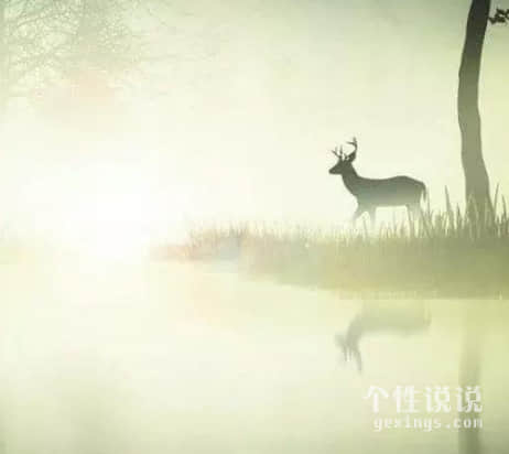 有內(nèi)涵關(guān)于成長的經(jīng)典說說(51條) 有內(nèi)涵關(guān)于成長的經(jīng)典說說(51條)