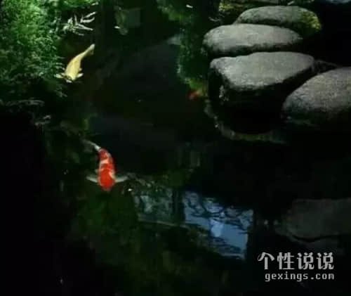 qq空間穿透人心的經(jīng)典說說（57條）