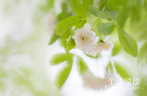 霸氣陽光的經(jīng)典說說（60條）