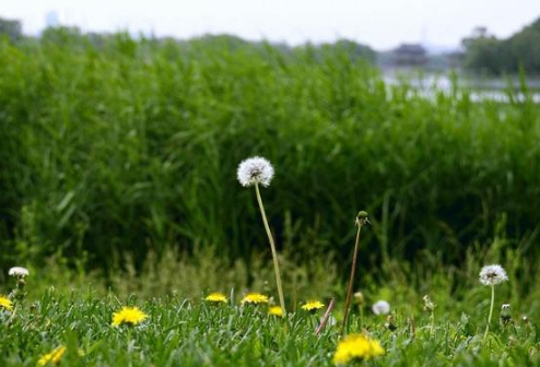 高考鼓勵(lì)自己加油的經(jīng)典說(shuō)說(shuō) 高考鼓勵(lì)自己加油的經(jīng)典說(shuō)說(shuō)