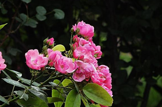 生活現(xiàn)實扎心的經(jīng)典說說（54條）