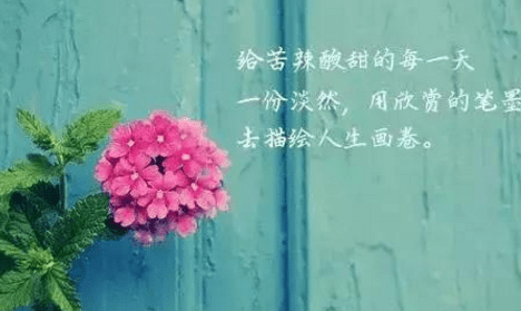 人生感悟句子經(jīng)典說說分享：哭給自己聽，笑給別人看，這就是所謂的人生