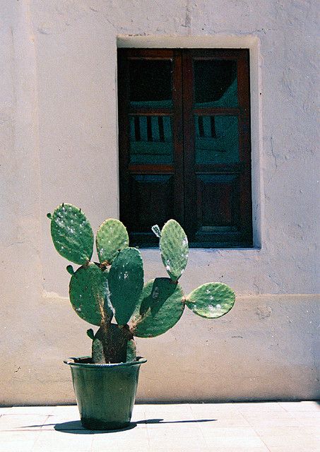 寬恕是放過你自己