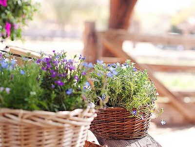 我能夠裝傻，但別以為我真傻