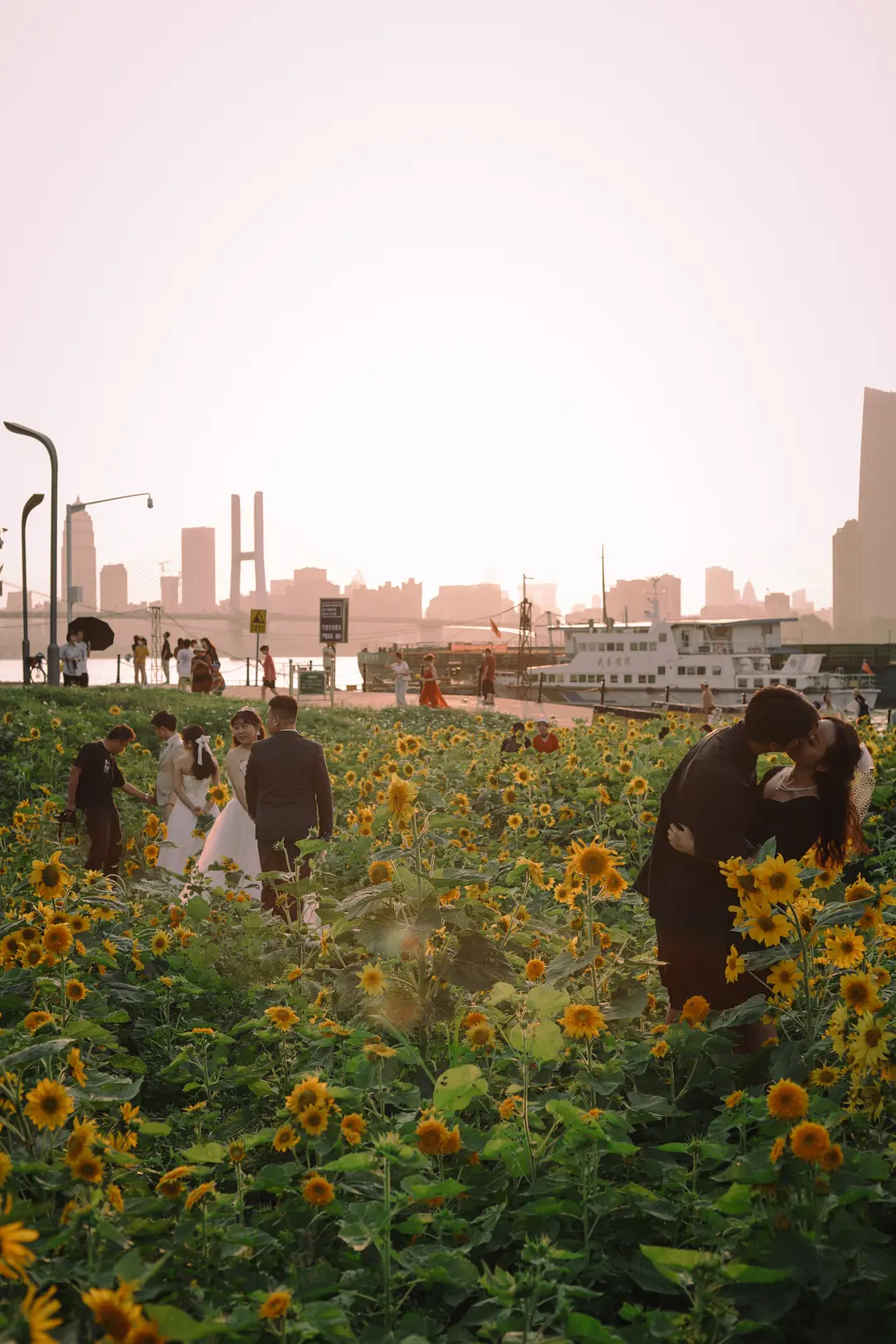 我在豆瓣里學寫文案