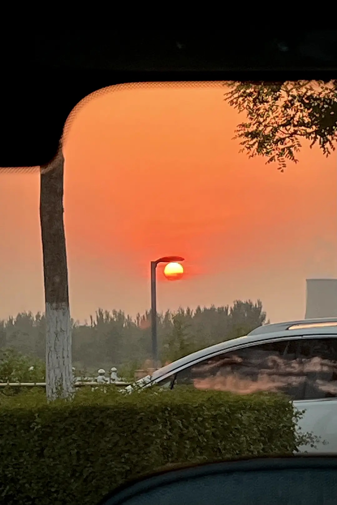 我在豆瓣里學寫文案