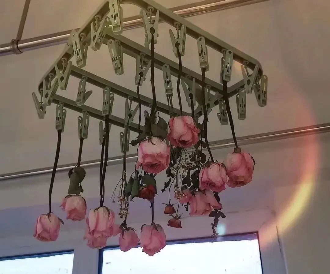 我在豆瓣里學寫文案