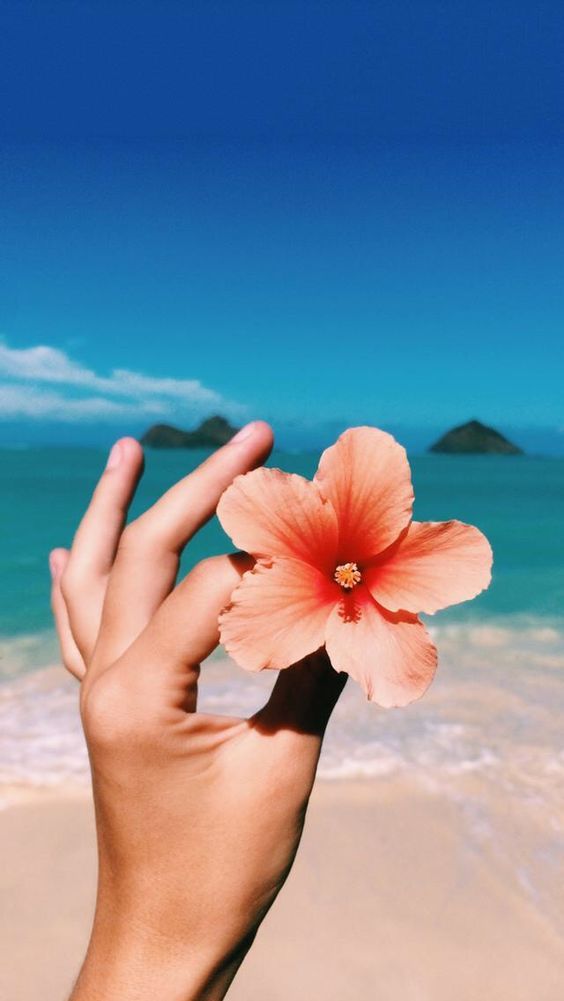 qq個性說說心情短語 人生，就是你一個人的人生