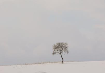 心情說說很現(xiàn)實的說說 一旦有了期待 心情就忽明忽暗