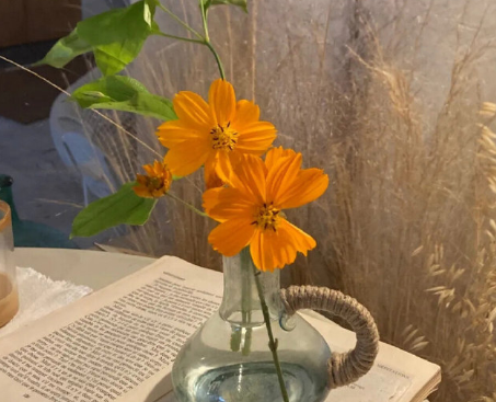 最觸動(dòng)人心的句子 這個(gè)社會(huì)沒(méi)有對(duì)與錯(cuò)，只有強(qiáng)與弱