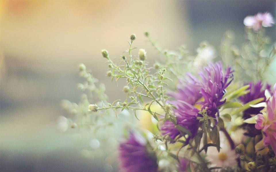 人生道路上的哲理大全：路還長，天總會亮