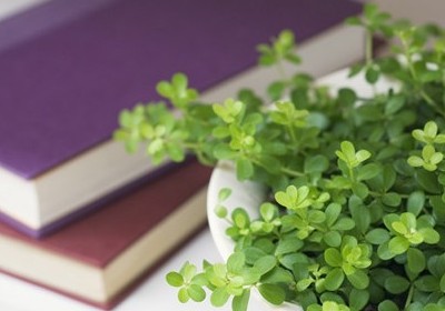 qq空間一句話經(jīng)典語錄