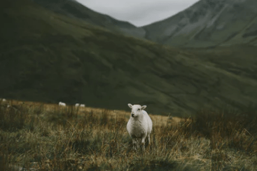 深夜失眠崩潰的傷感說(shuō)說(shuō)大全