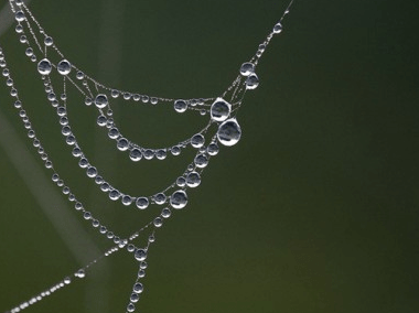 最悲傷的說說:騙自己你還是很關(guān)心我,白首不相離是個(gè)笑話