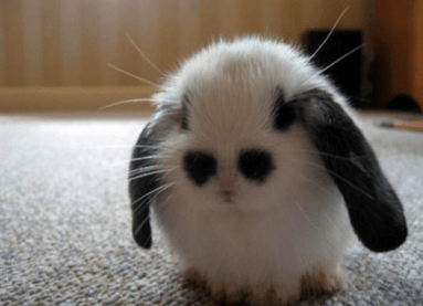 發(fā)表說說想念一個人 40句精選關(guān)于想念一個人的句子