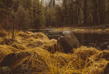 最火心碎到撕心裂肺的句子大全
